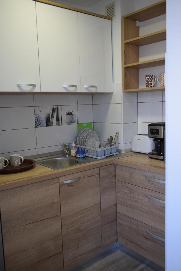 Apartament Palatul De Justitie Rhbm Baia Mare Dış mekan fotoğraf